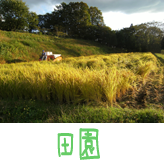 田園