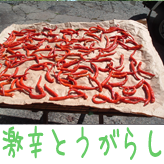 激辛とうがらし